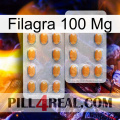 Filagra 100Mg cialis4